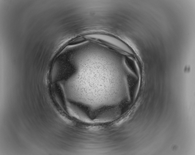 X0000096170105200802081420