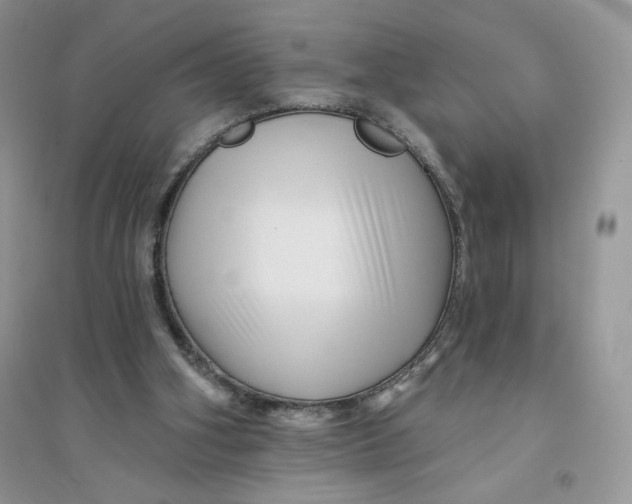 X0000096170106200802081420