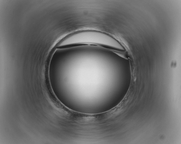 X0000096170108200802081420