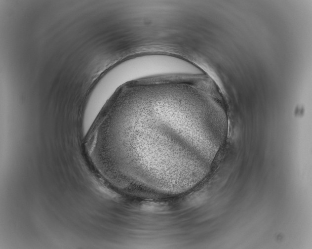 X0000096170109200802081420