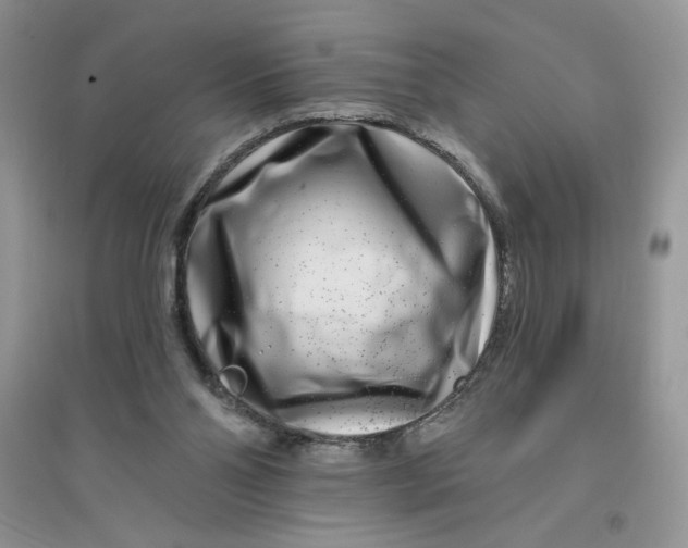 X0000096170110200802081420