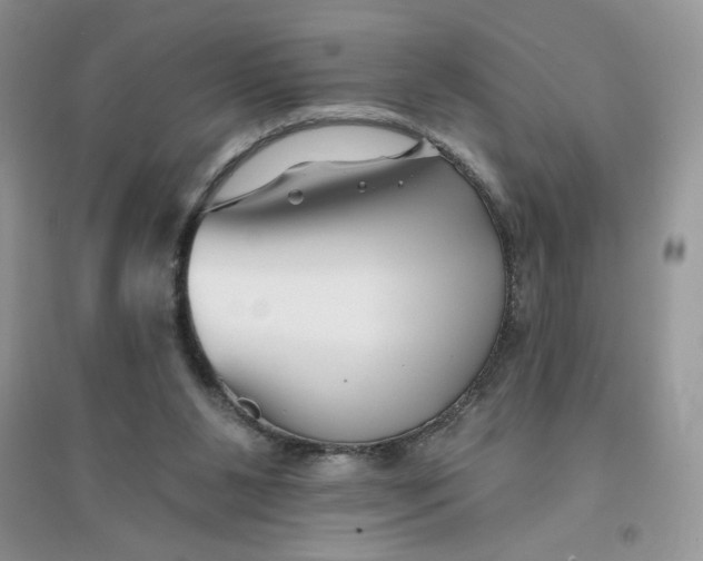 X0000096170111200802081420