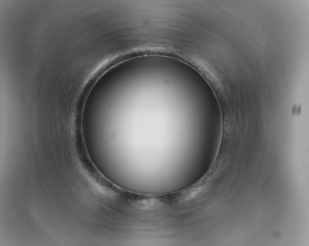 X0000096170112200802081420