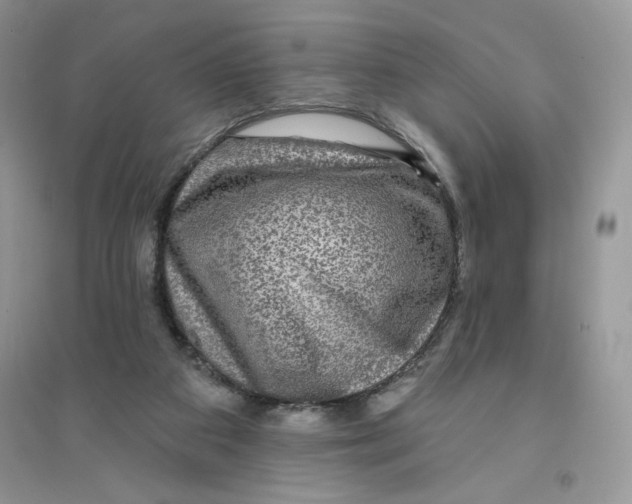 X0000096170113200802081420