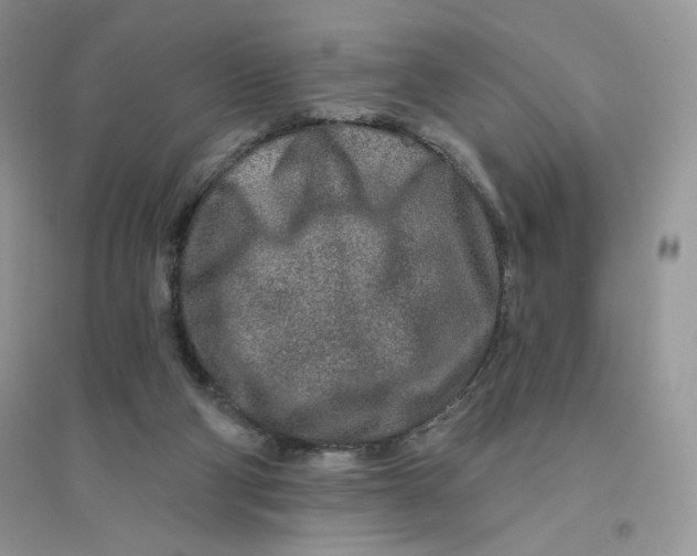 X0000096170114200802081420