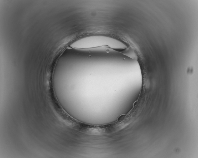 X0000096170115200802081420