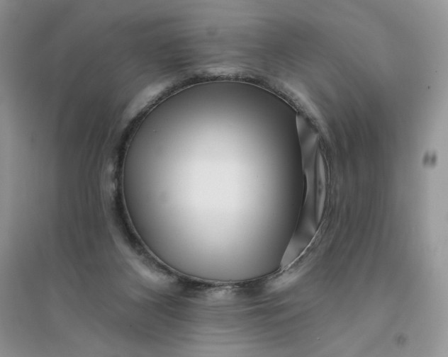 X0000096170116200802081420