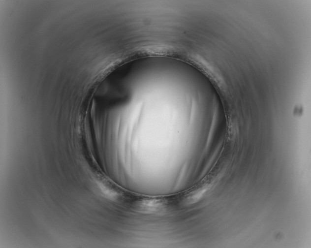 X0000096170117200802081420