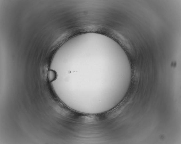 X0000096170118200802081420