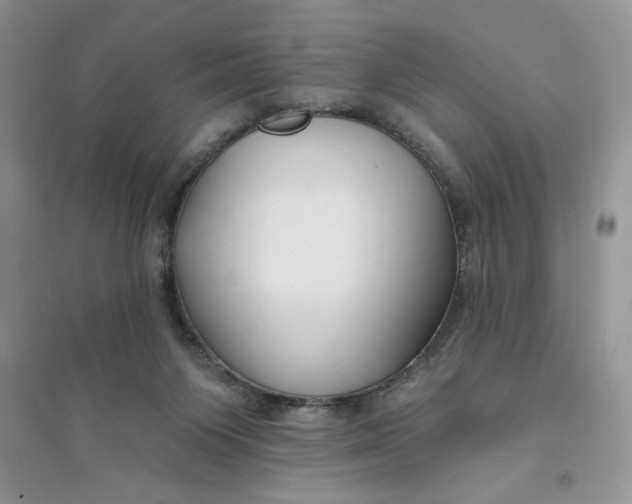 X0000096170119200802081420