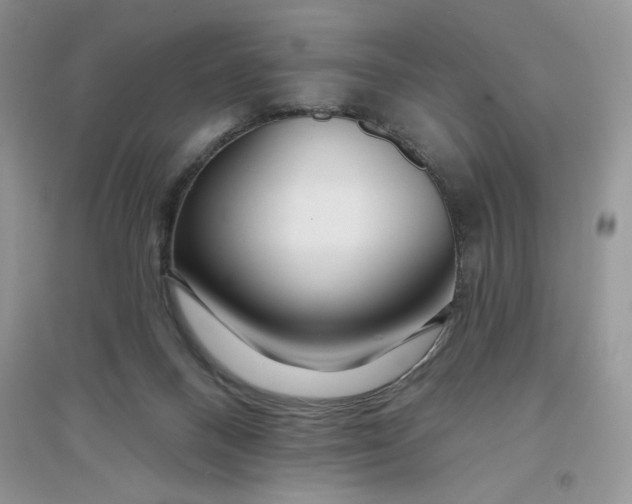 X0000096170120200802081420