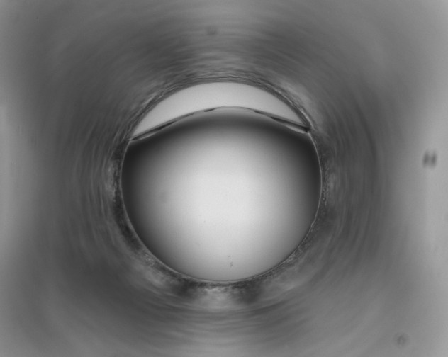 X0000096170121200802081420