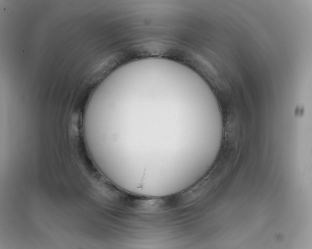 X0000096170122200802081420