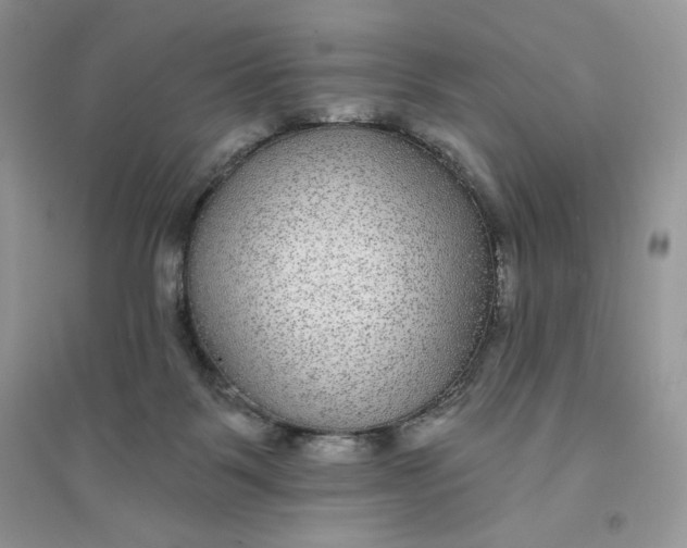 X0000096170123200802081420