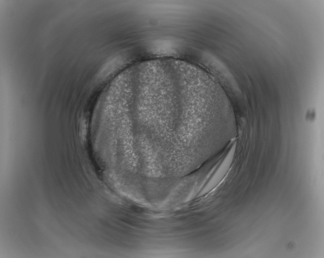 X0000096170124200802081420