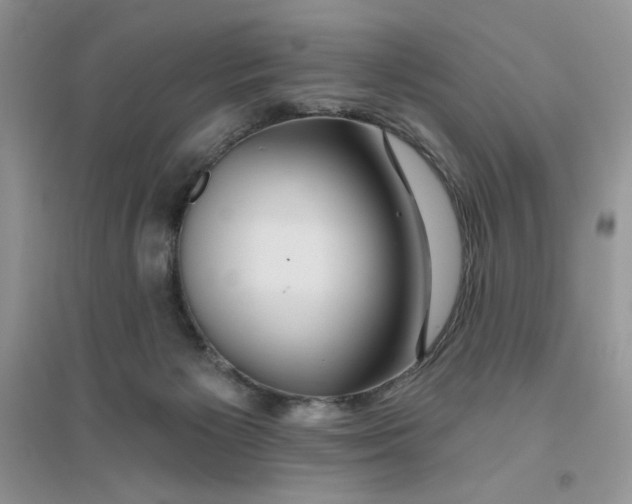 X0000096170125200802081420