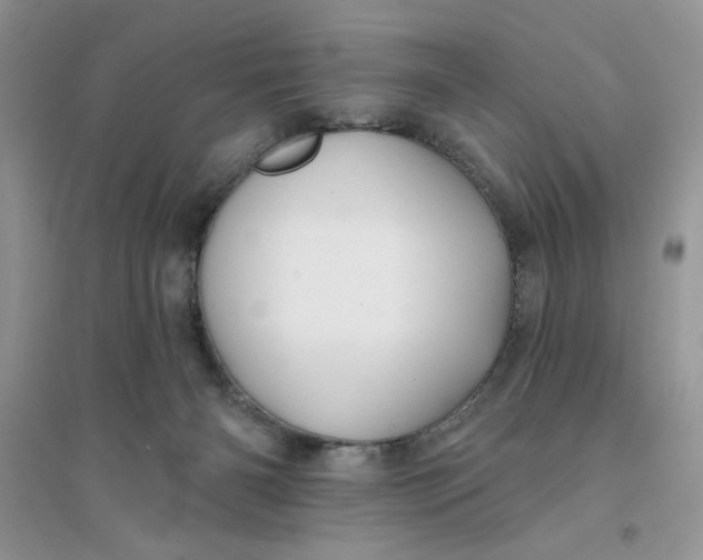 X0000096170126200802081420