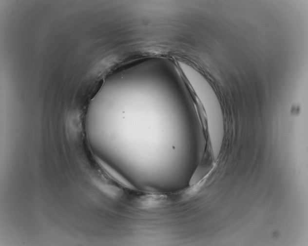 X0000096170128200802081420