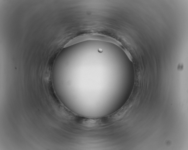 X0000096170129200802081420