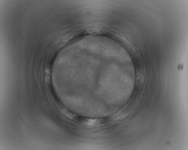 X0000096170130200802081420