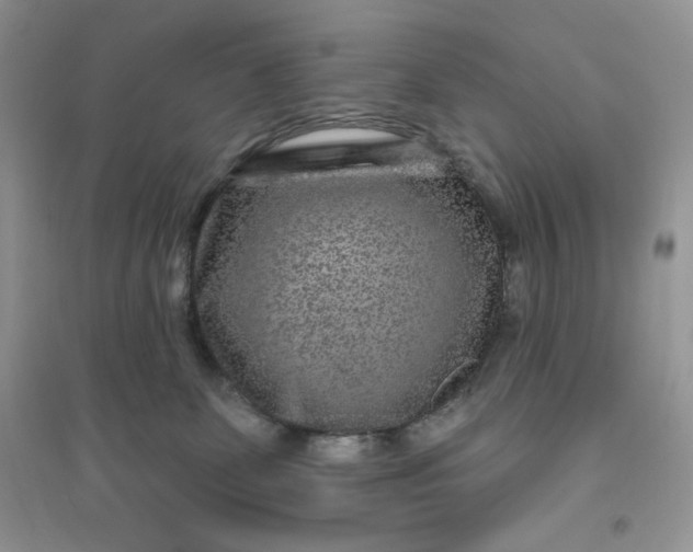 X0000096170131200802081420