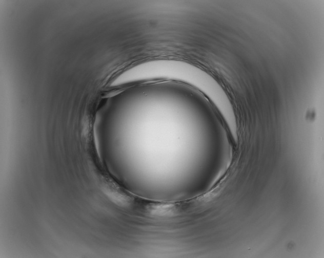 X0000096170132200802081420