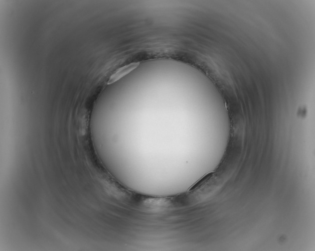 X0000096170133200802081420