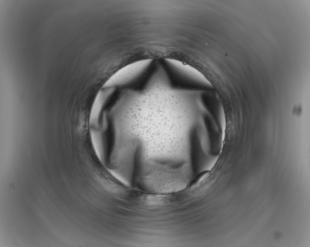 X0000096170134200802081420