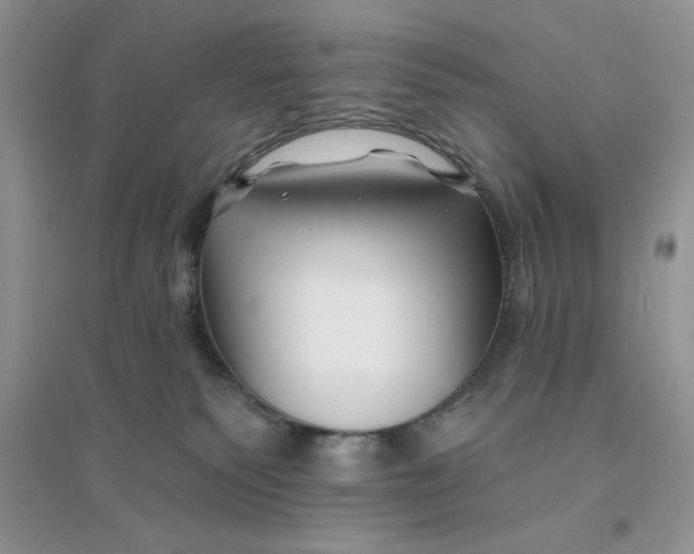 X0000096170135200802081420