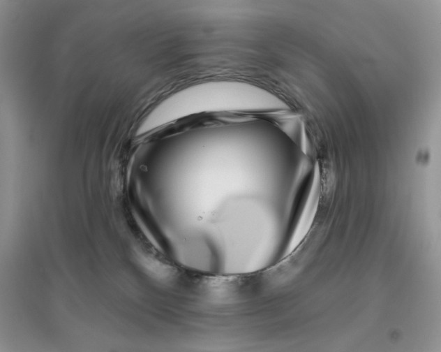 X0000096170136200802081420