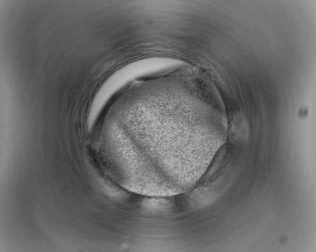 X0000096170137200802081420