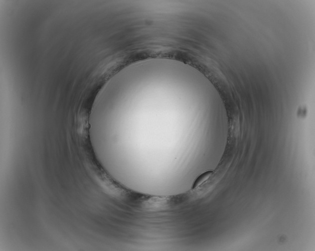 X0000096170138200802081420