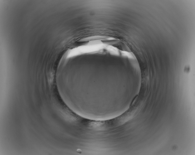 X0000096170139200802081420