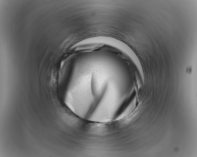 X0000096170140200802081420