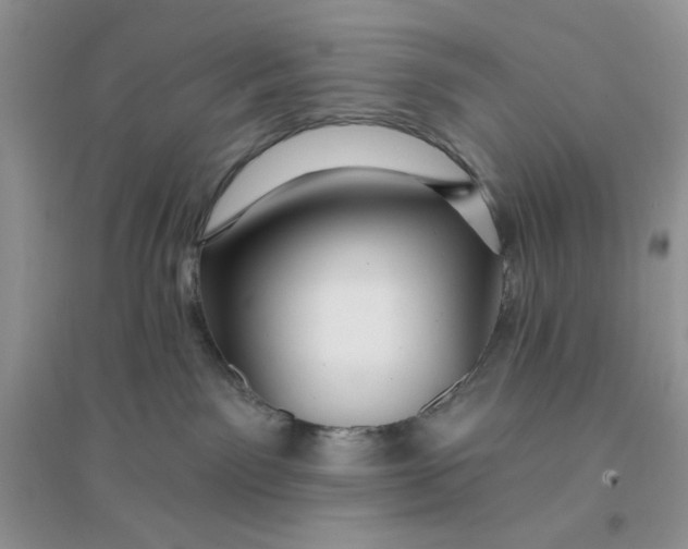 X0000096170141200802081420