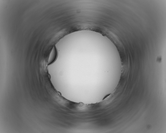 X0000096170142200802081419