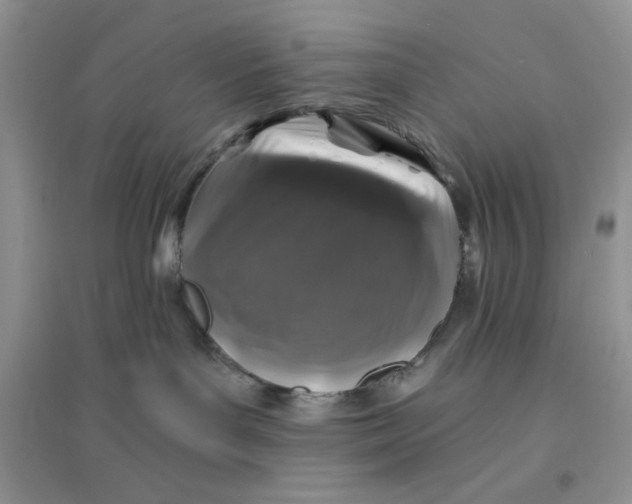 X0000096170143200802081419