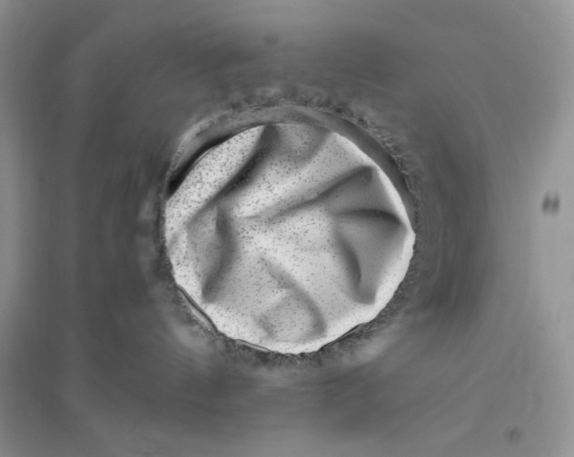 X0000096170144200802081419