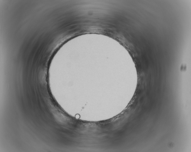 X0000096170146200802081419