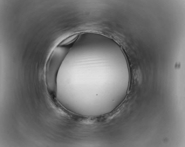 X0000096170148200802081419