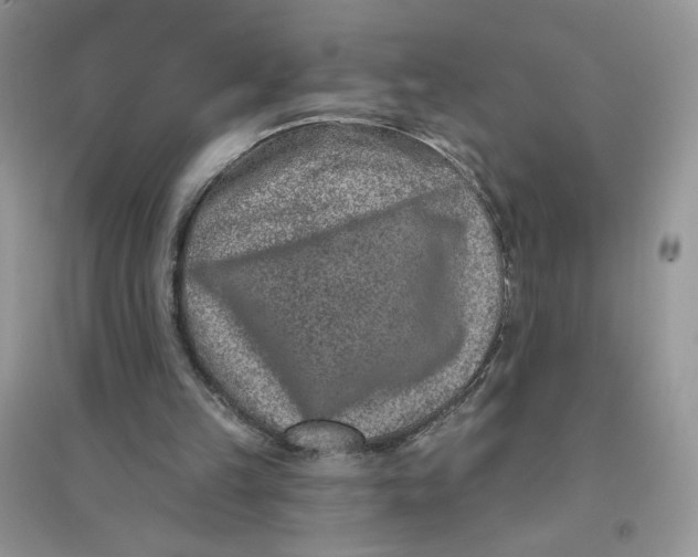 X0000096170149200802081419