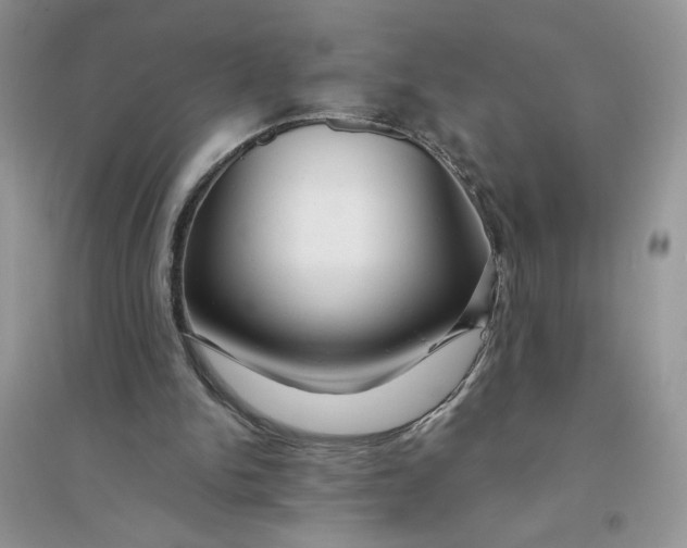 X0000096170150200802081419