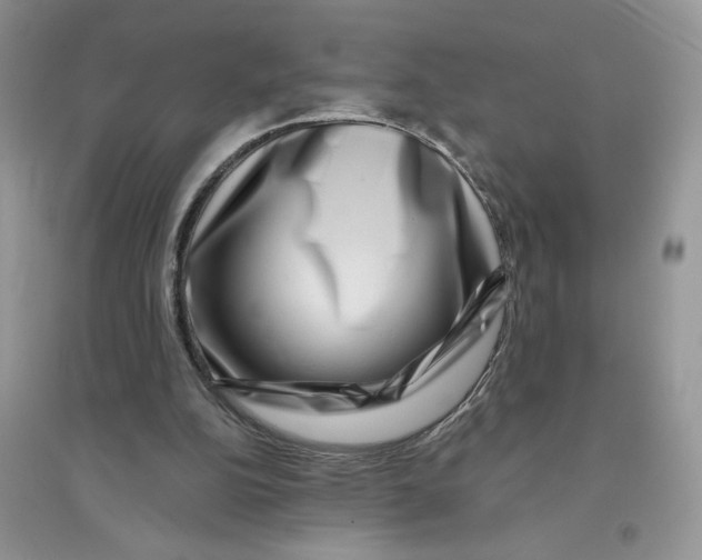 X0000096170152200802081419