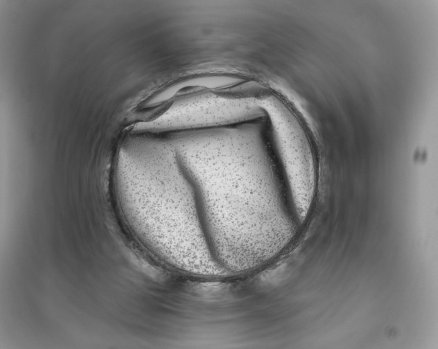 X0000096170153200802081419