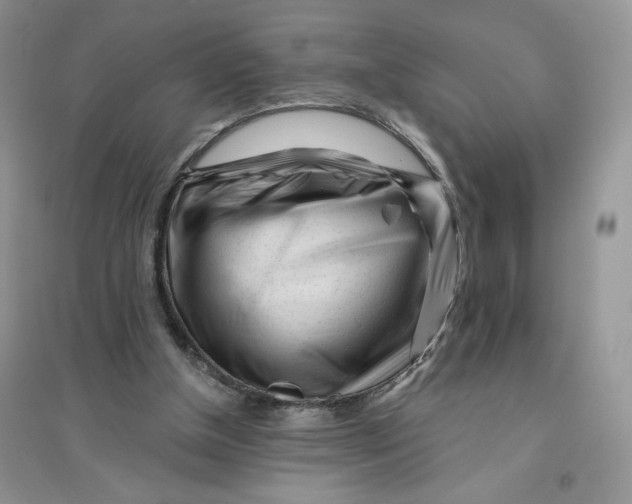 X0000096170154200802081419