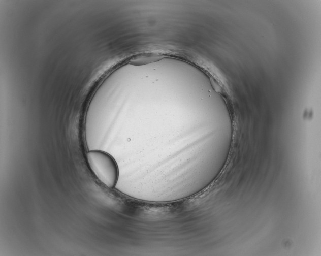 X0000096170155200802081419