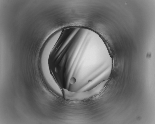 X0000096170156200802081419