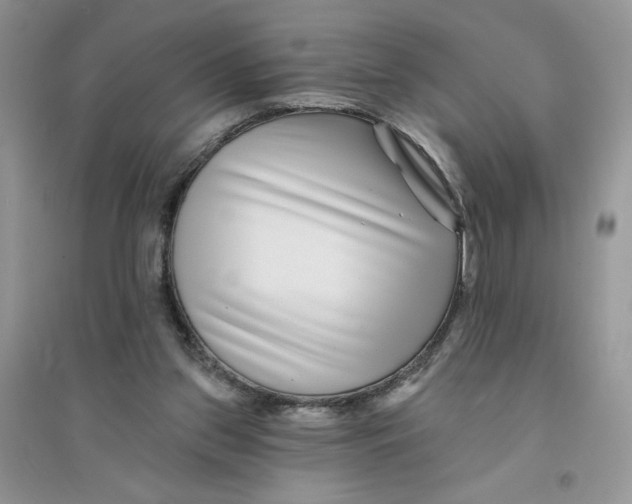 X0000096170157200802081419