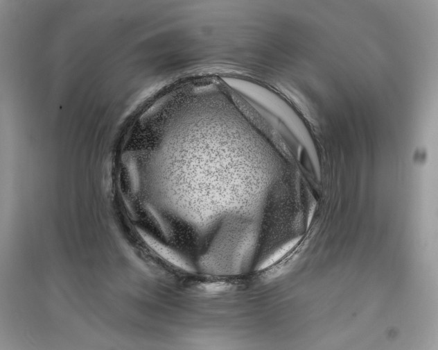 X0000096170158200802081419