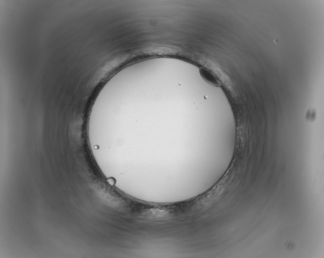 X0000096170159200802081419